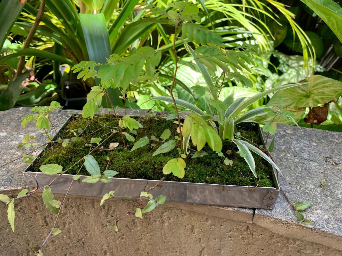 Villa Paraiso São Paulo Eksteriør billede